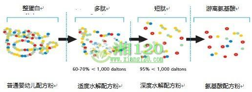 ����ţ�̹������ű�����һ��