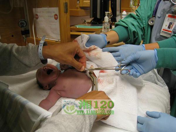 ���Ͻ���[��120]