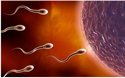 ���Բ���