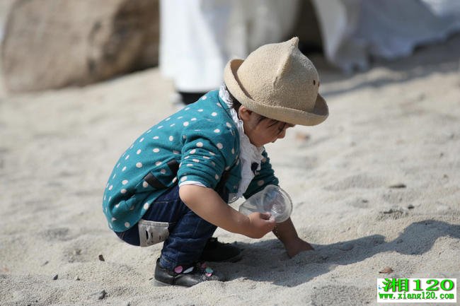 ����-��120-���Ͻ���