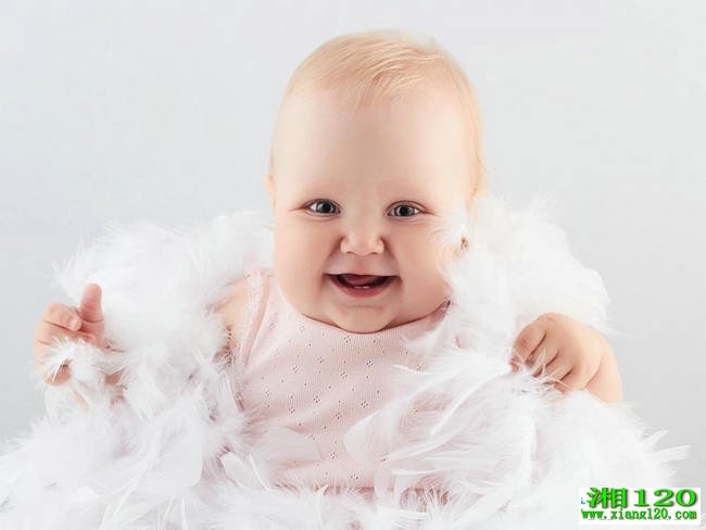 ����-��120-���Ͻ���