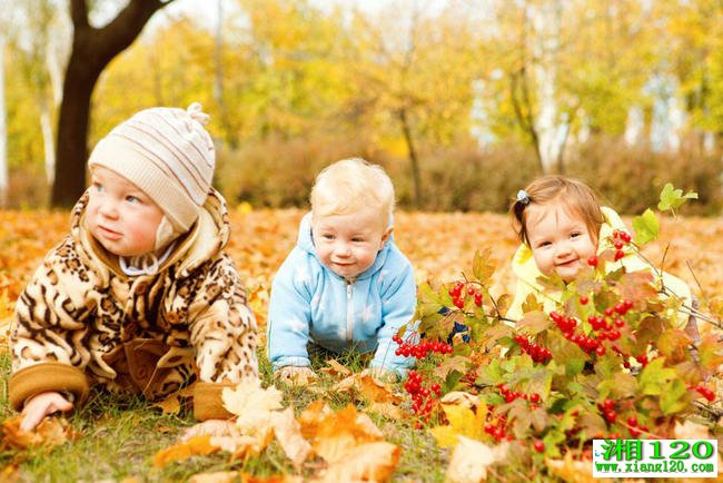 ����-��120-���Ͻ���