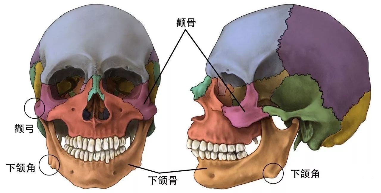 гͼ 3dʾ