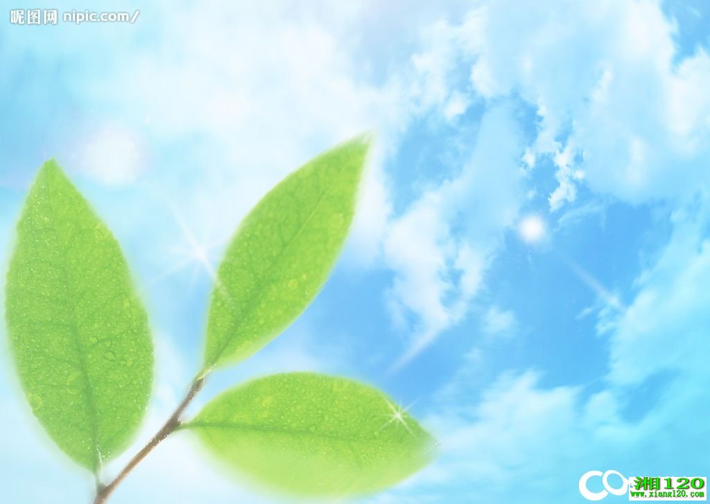 �ΰ���������Ч��