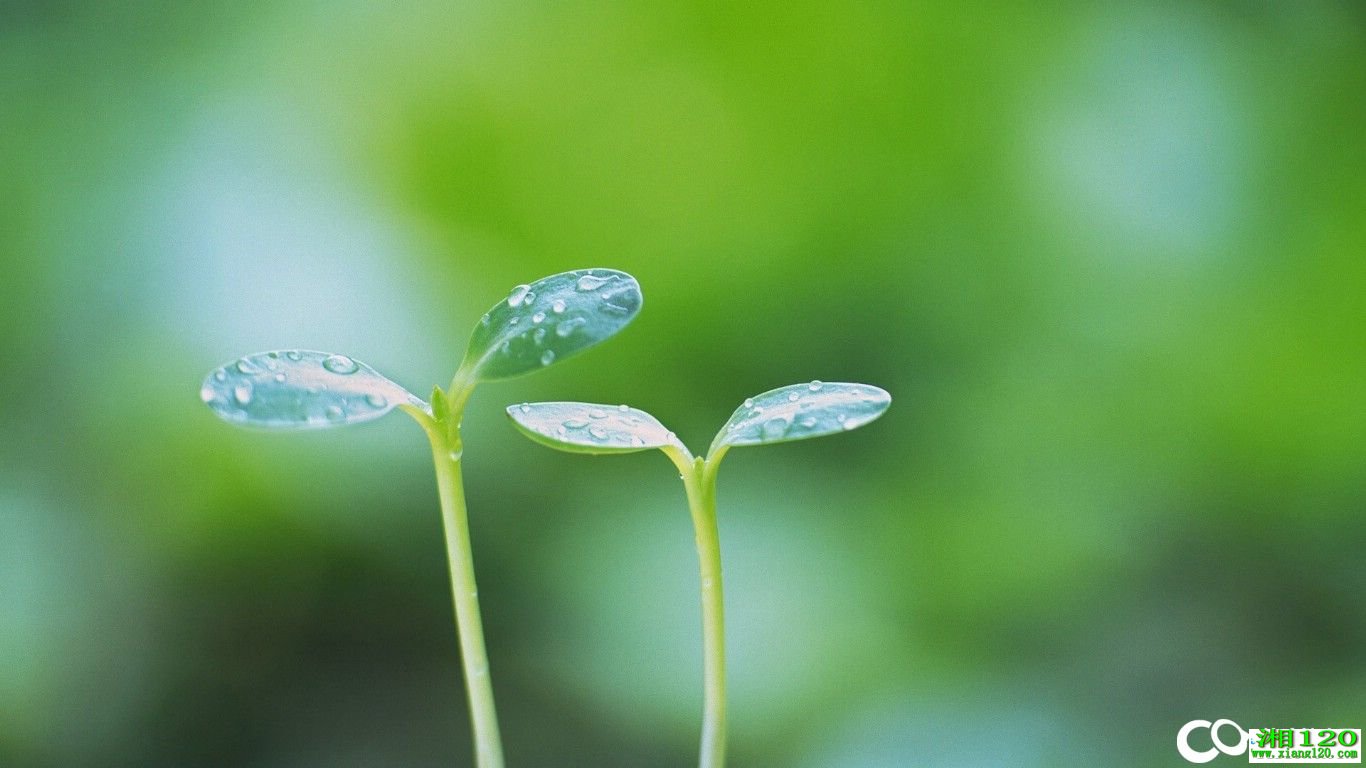 肺癌中期治疗方法