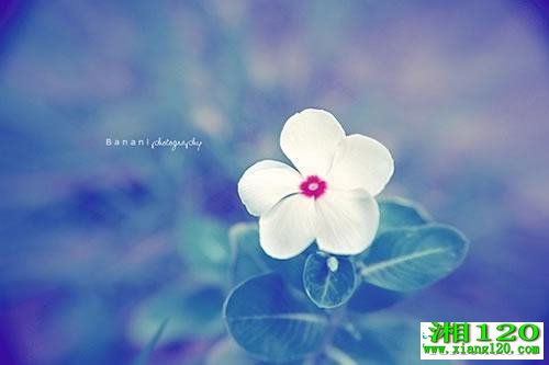 肺癌晚期怎么治疗最好