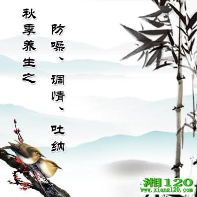 �＾����֮���롢���顢����