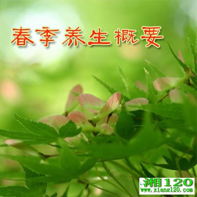 ����������Ҫ