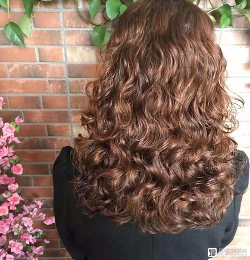 滋阴补肾的药膳食疗有哪些 4款药膳健康美味 滋阴补肾的药膳食疗有哪些 4款药膳健康美味