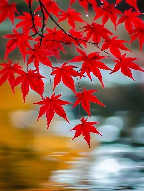 肚子胀气放屁怎么回事 肚子胀气放屁怎么回事