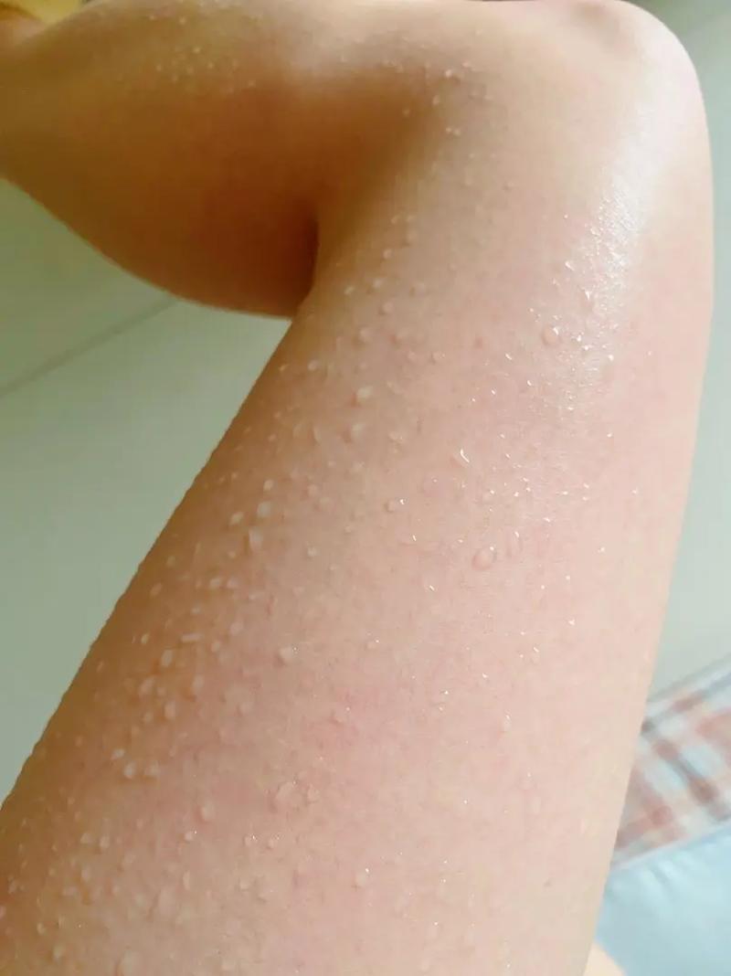 九花玉露丸是什么 九花玉露丸的功效 九花玉露丸是什么 九花玉露丸的功效