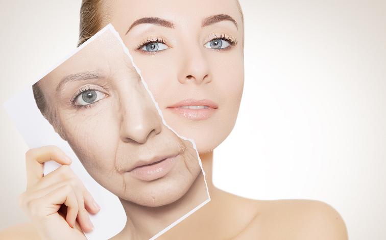 �򵰰�2ʮ������