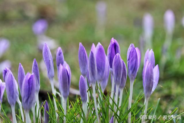 增强心脏功能的方法推荐三大常见方法 增强心脏功能的方法推荐三大常见方法
