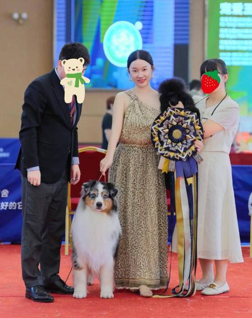 怎么变持久 三个技巧延时持久 怎么变持久 三个技巧延时持久