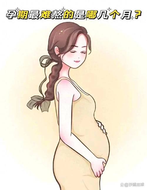 ģʹ÷ͼ ˽ȷ÷ͼ۸Ҫ