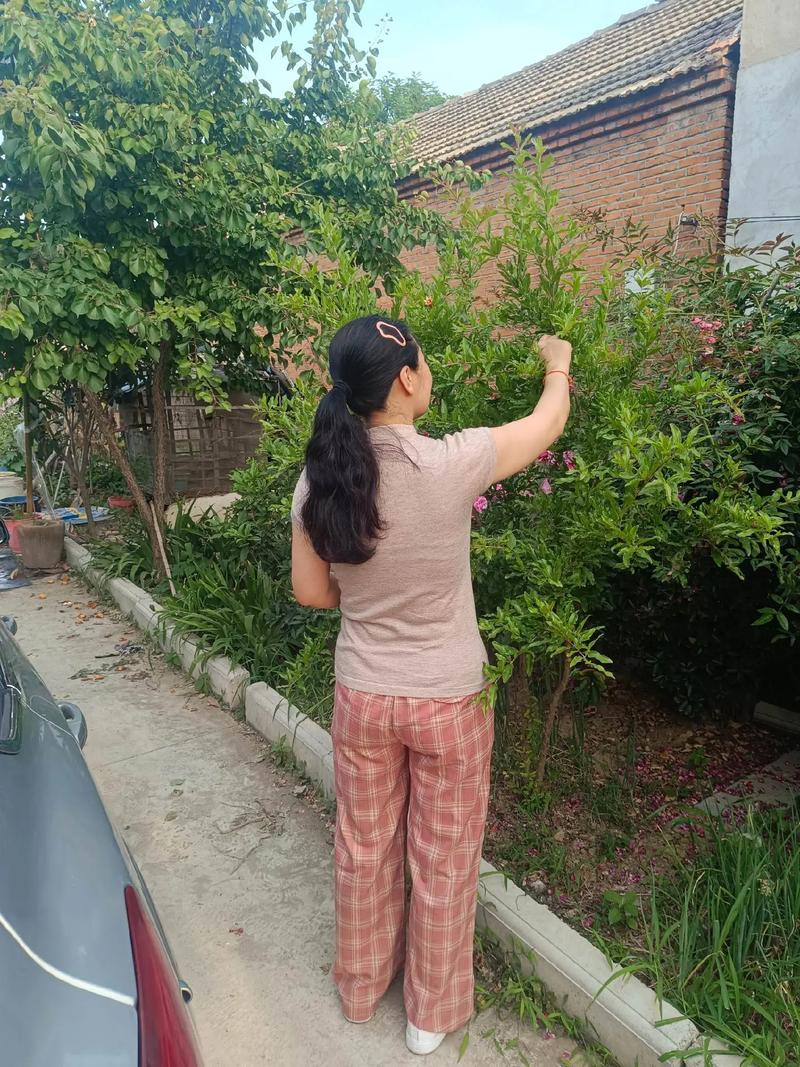 ЩʳЧԴִȾ ְЧԸִȾʳ