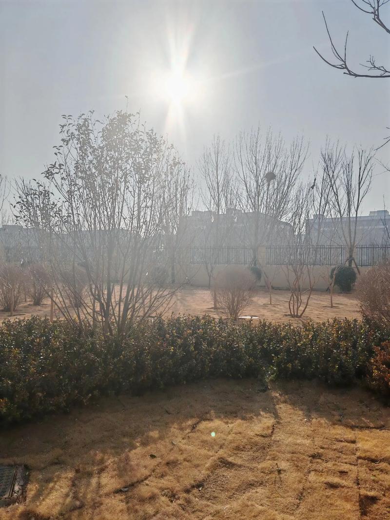 怎么确定自己有什么妇科病 怎么确定自己有什么妇科病