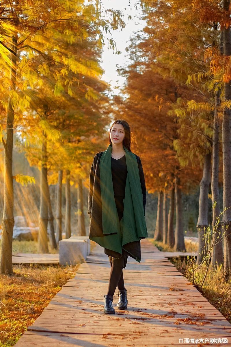 盐酸肾上腺素注射液概述 盐酸肾上腺素注射液概述