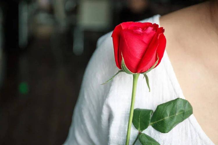 芦荟胶有祛斑的作用吗 芦荟胶是天然的美容养颜物质 芦荟胶有祛斑的作用吗 芦荟胶是天然的美容养颜物质