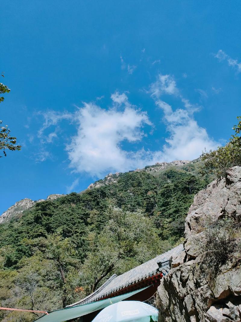 孕晚期为什么右侧肋骨疼有时伴有腰疼 孕晚期为什么右侧肋骨疼有时伴有腰疼