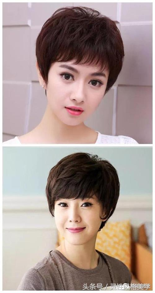 市面上最好的灵芝孢子粉品牌是什么? 市面上最好的灵芝孢子粉品牌是什么?