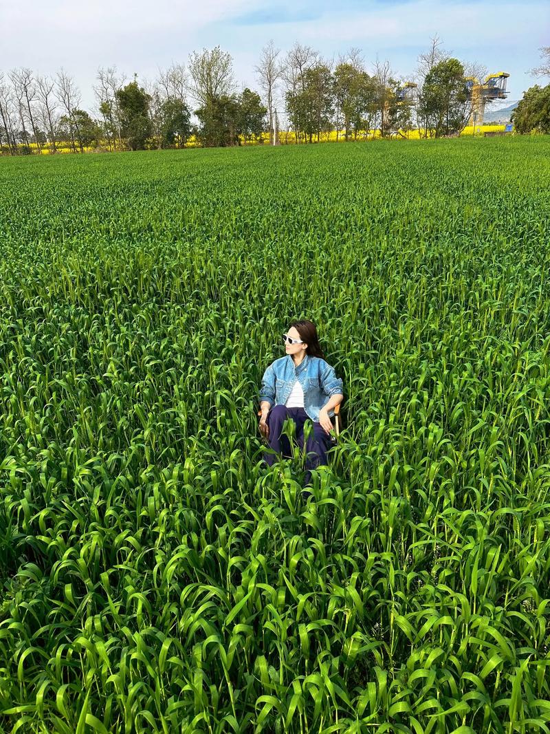 肾肿瘤手术后吃什么好 肾肿瘤手术后吃什么好