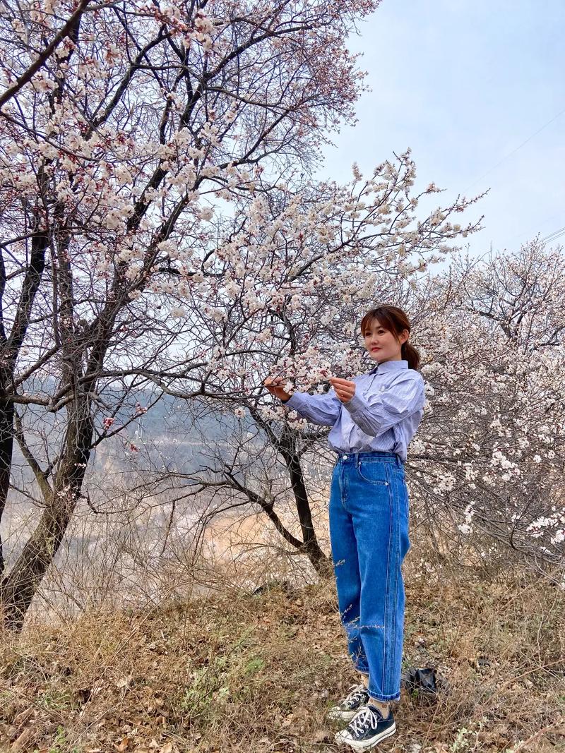 С�뵶���ƾ�׵��Ч������