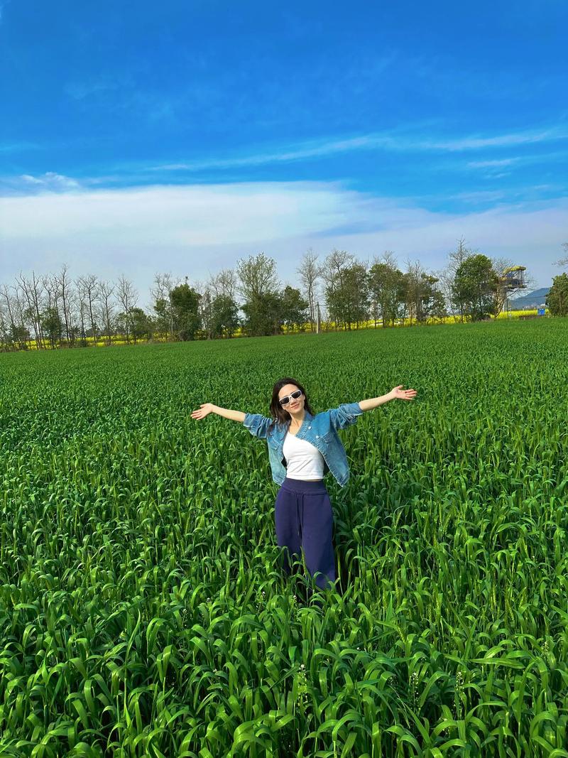 栀子茶有什么禁忌 四大使用禁忌需知晓 栀子茶有什么禁忌 四大使用禁忌需知晓