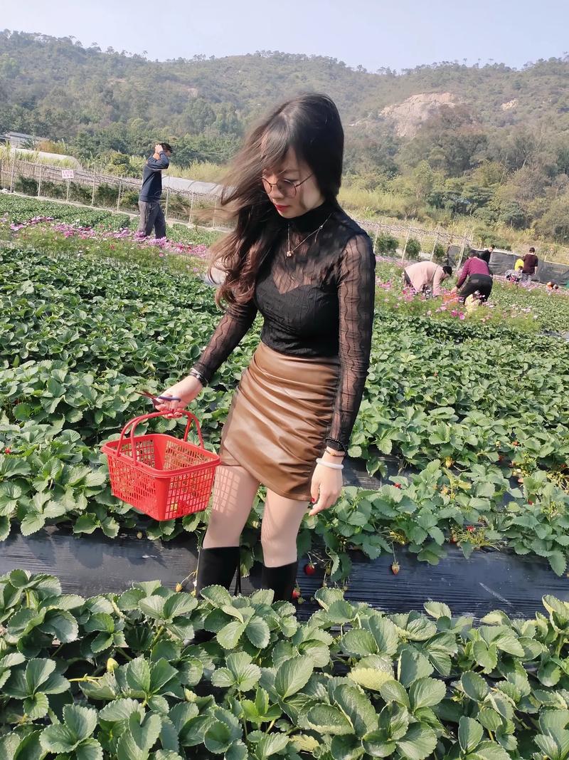 梁静茹什么时候出道 梁静茹几岁出道 梁静茹什么时候出道 梁静茹几岁出道