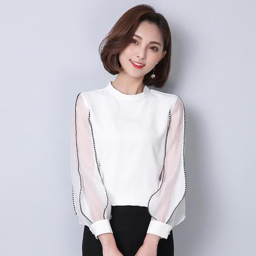 赖猫的狮子倒影全集资源 赖猫的狮子倒影全集资源