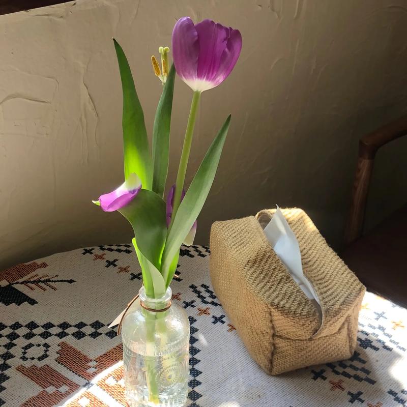 肾阳虚体质尿失禁怎么办 调养重在扶阳固本 肾阳虚体质尿失禁怎么办 调养重在扶阳固本