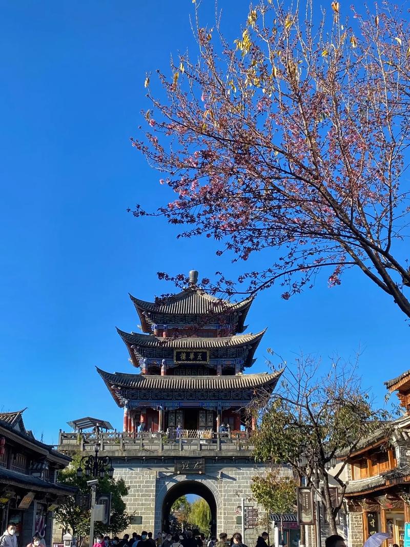 ���������屦�������� �屦��Ĺ�Ч������